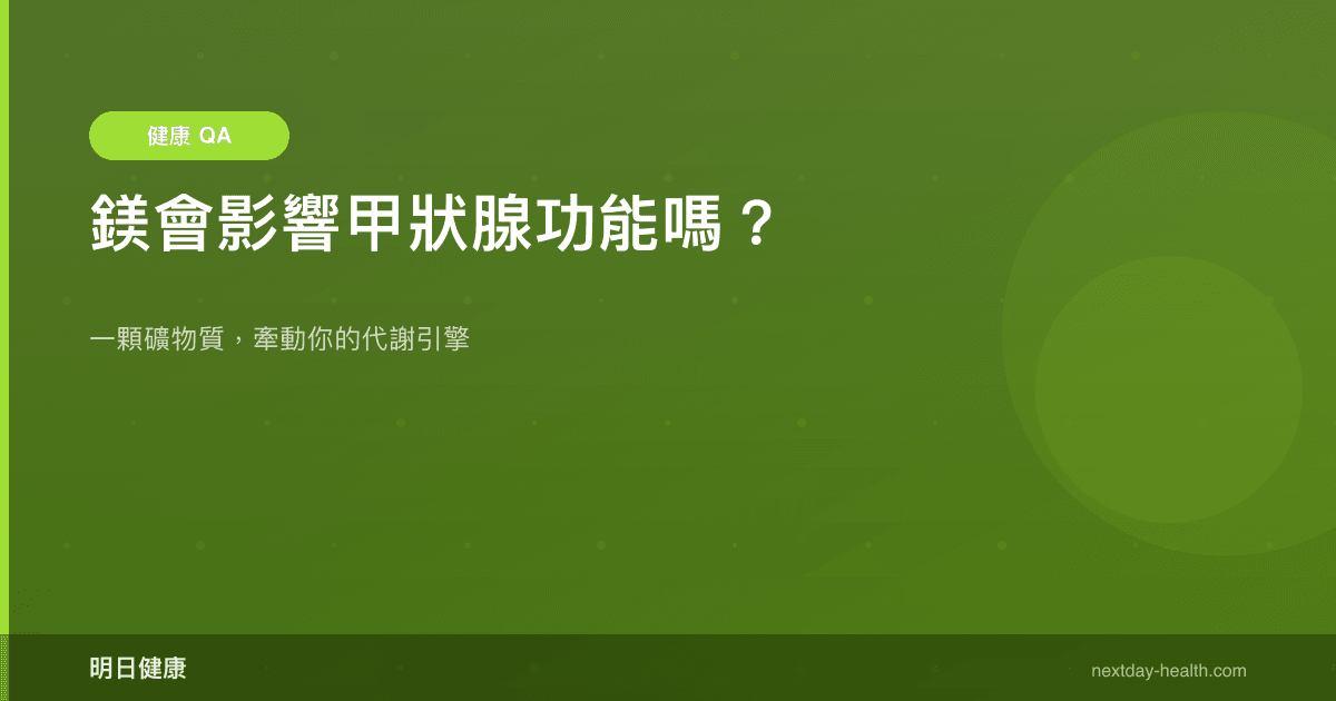 鎂會影響甲狀腺功能嗎？