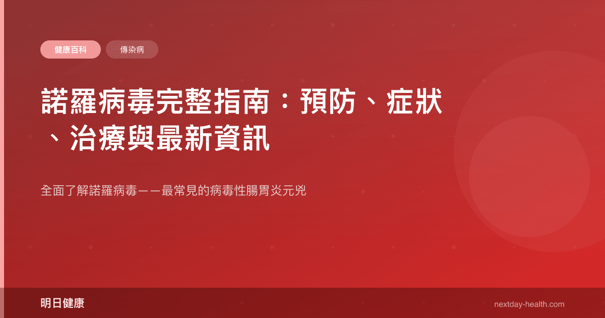 諾羅病毒完整指南：預防、症狀、治療與最新資訊