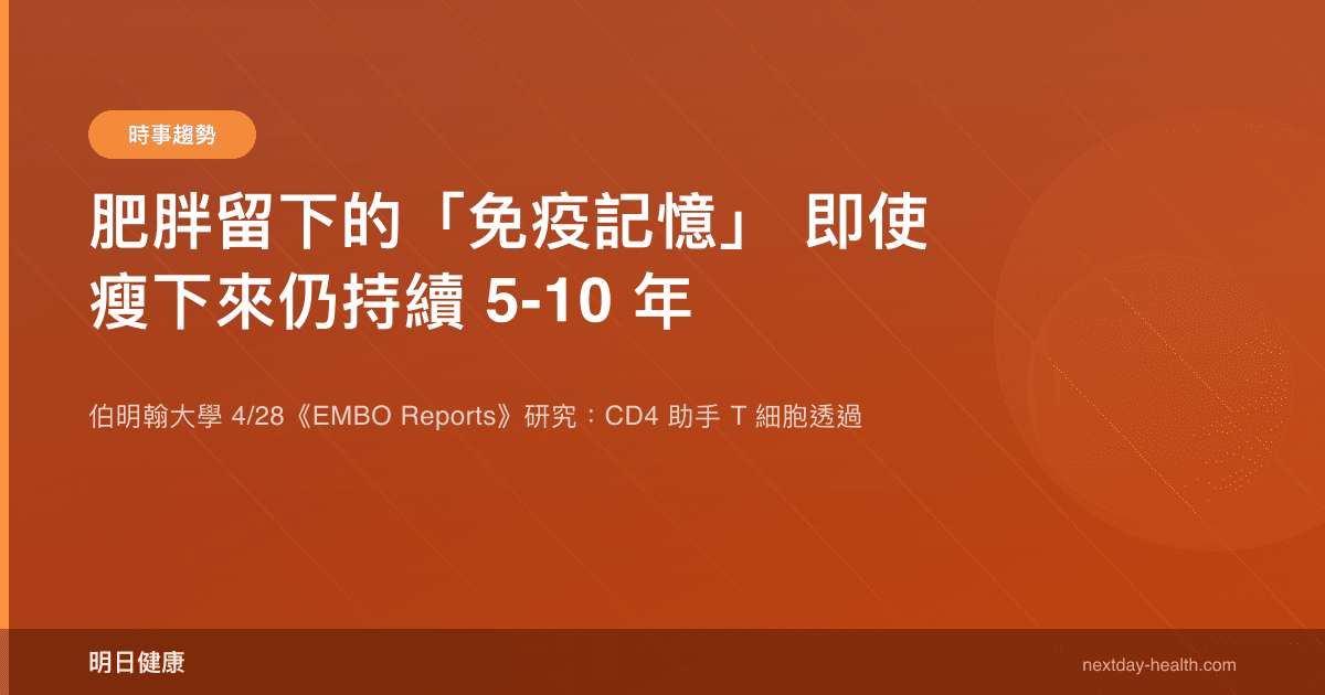 肥胖留下的「免疫記憶」 即使瘦下來仍持續 5-10 年