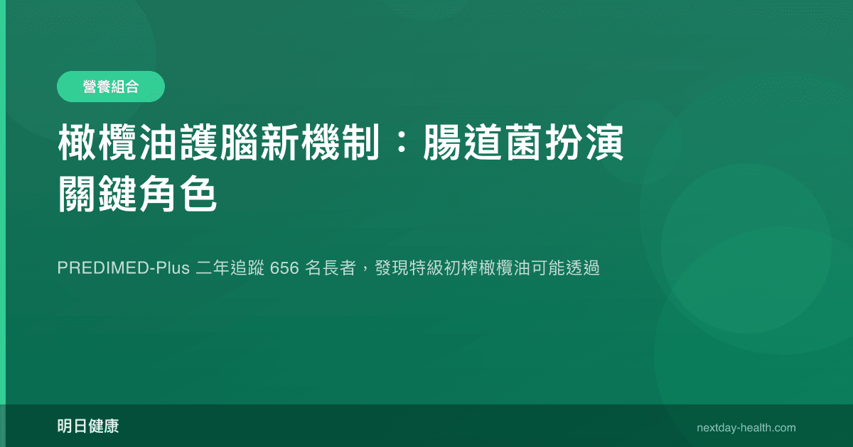橄欖油護腦新機制：腸道菌扮演關鍵角色