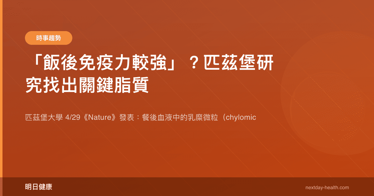 「飯後免疫力較強」？匹茲堡研究找出關鍵脂質