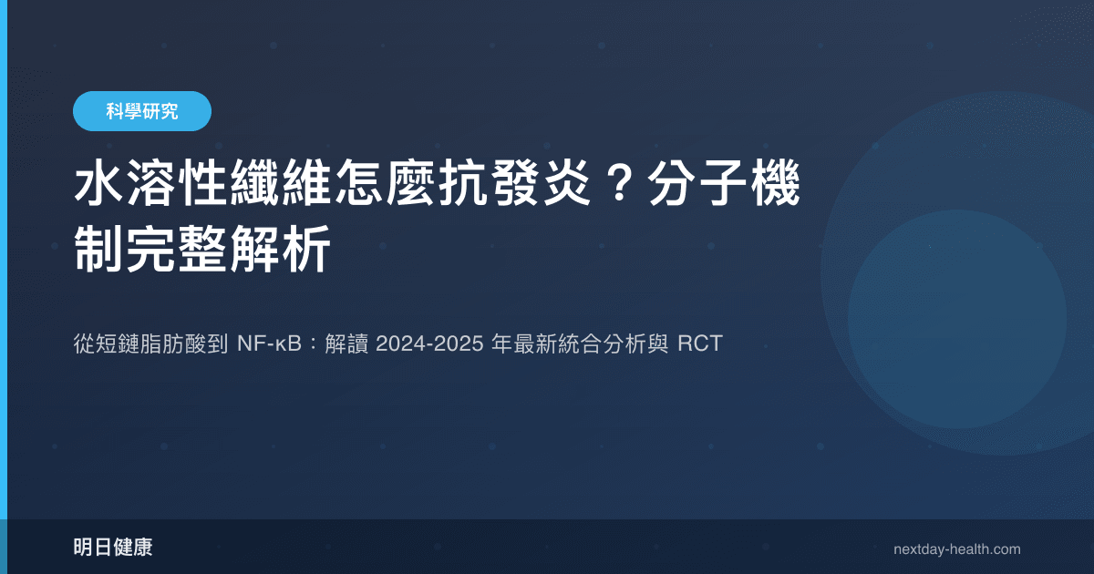 水溶性纖維怎麼抗發炎？分子機制完整解析