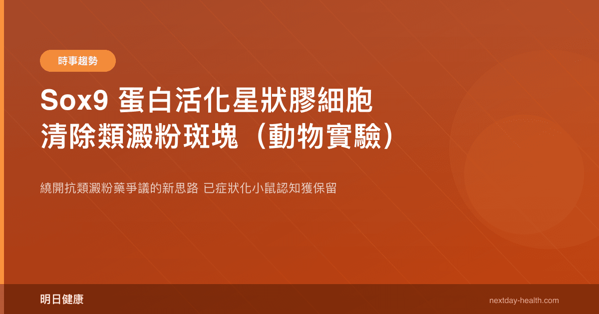 Sox9 蛋白活化星狀膠細胞清除類澱粉斑塊（動物實驗）