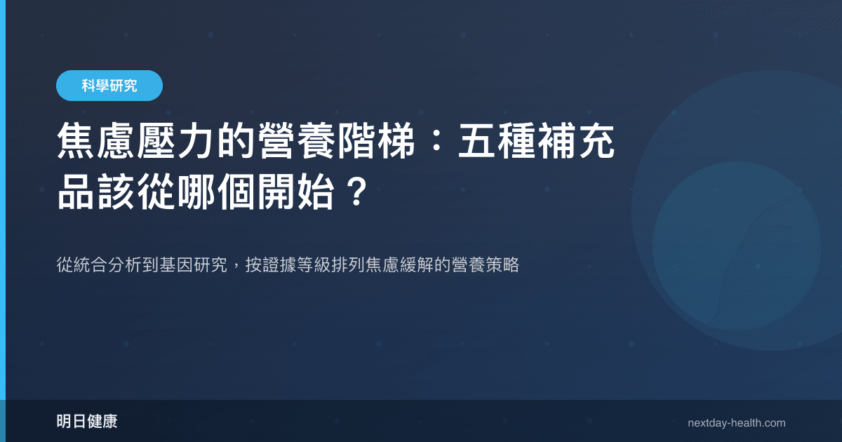 焦慮壓力的營養階梯：五種補充品該從哪個開始？