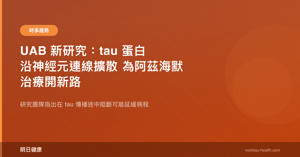 UAB 新研究：tau 蛋白沿神經元連線擴散 為阿茲海默治療開新路