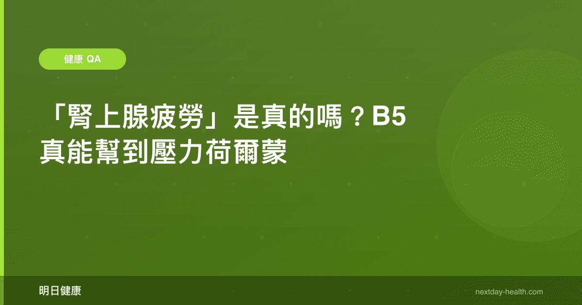 「腎上腺疲勞」是真的嗎？B5 真能幫到壓力荷爾蒙