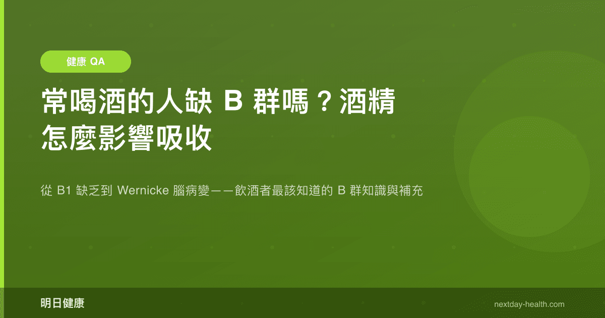 常喝酒的人缺 B 群嗎？酒精怎麼影響吸收
