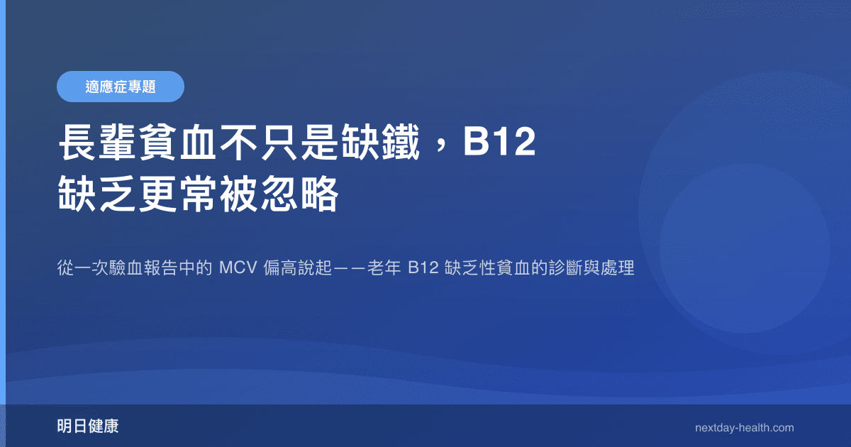 長輩貧血不只是缺鐵，B12 缺乏更常被忽略