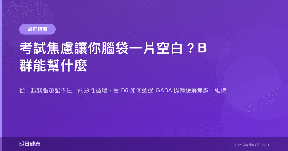 考試焦慮讓你腦袋一片空白？B 群能幫什麼