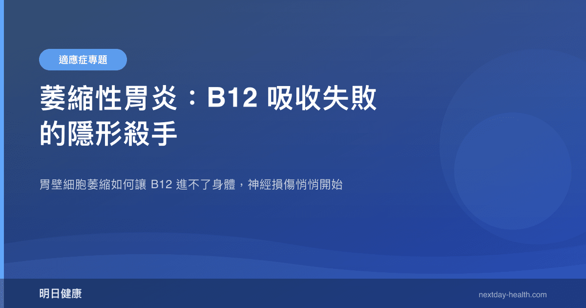 萎縮性胃炎：B12 吸收失敗的隱形殺手