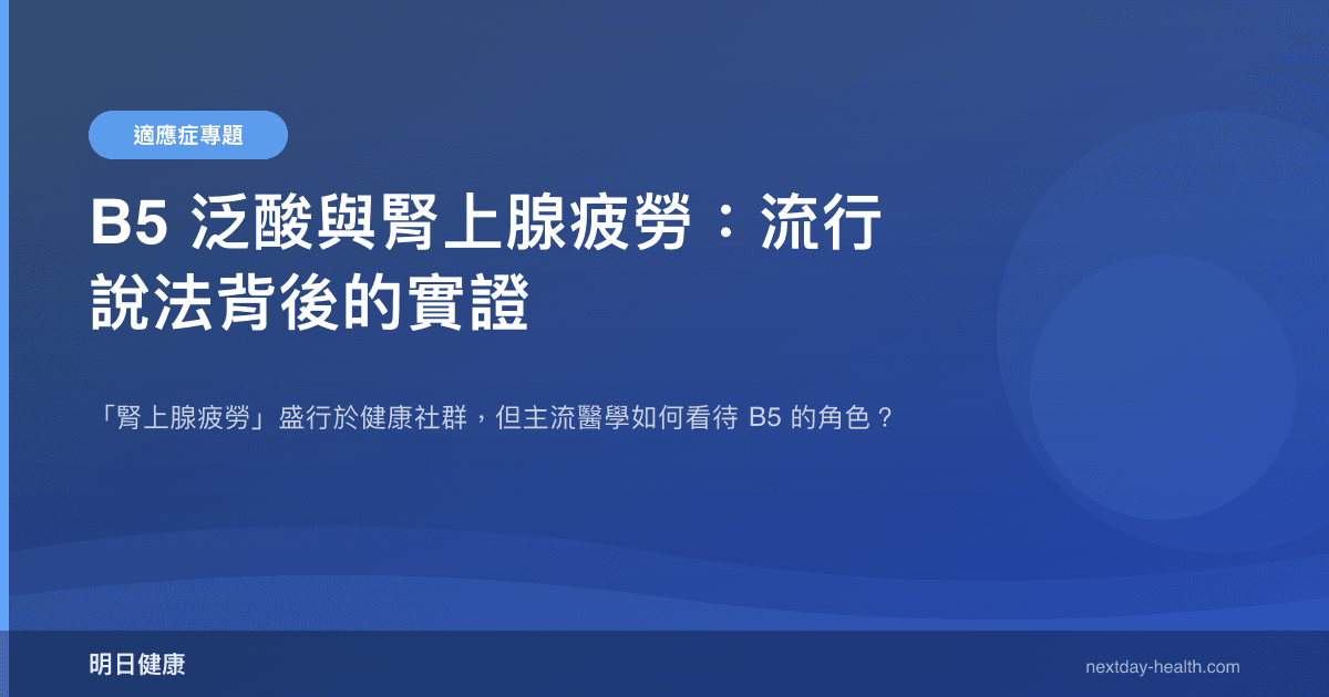 B5 泛酸與腎上腺疲勞：流行說法背後的實證