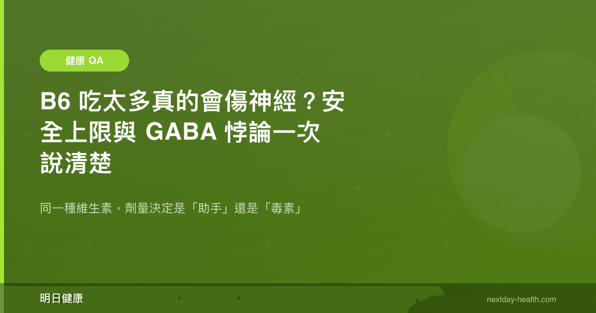 B6 吃太多真的會傷神經？安全上限與 GABA 悖論一次說清楚