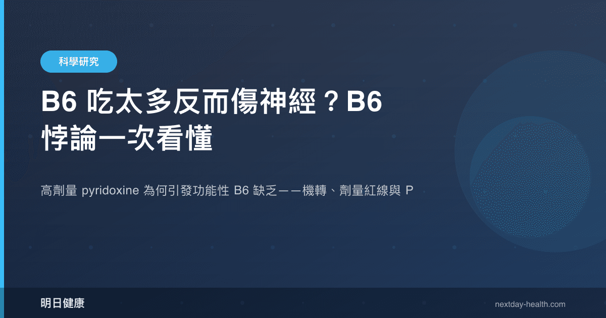 B6 吃太多反而傷神經？B6 悖論一次看懂
