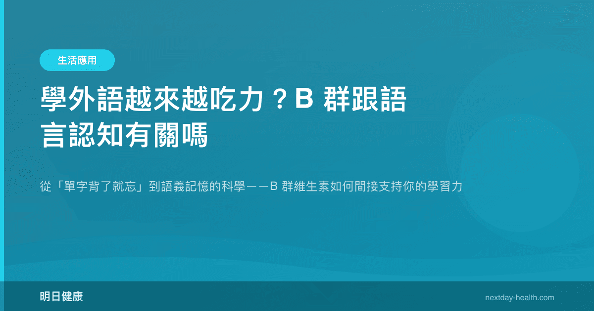 學外語越來越吃力？B 群跟語言認知有關嗎