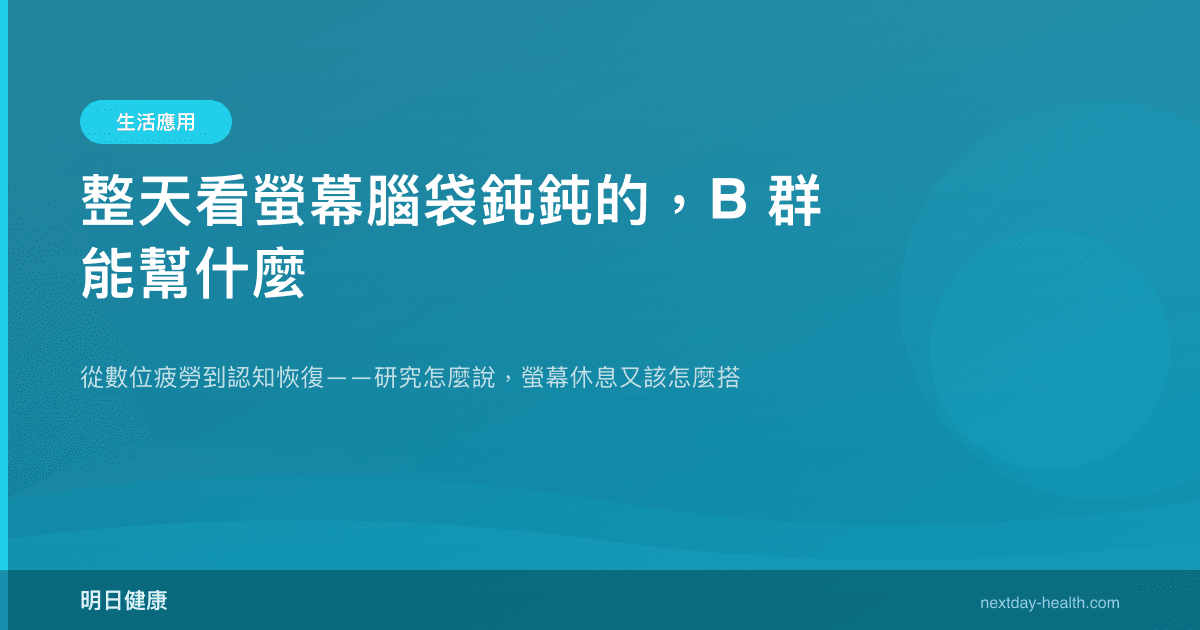 整天看螢幕腦袋鈍鈍的，B 群能幫什麼