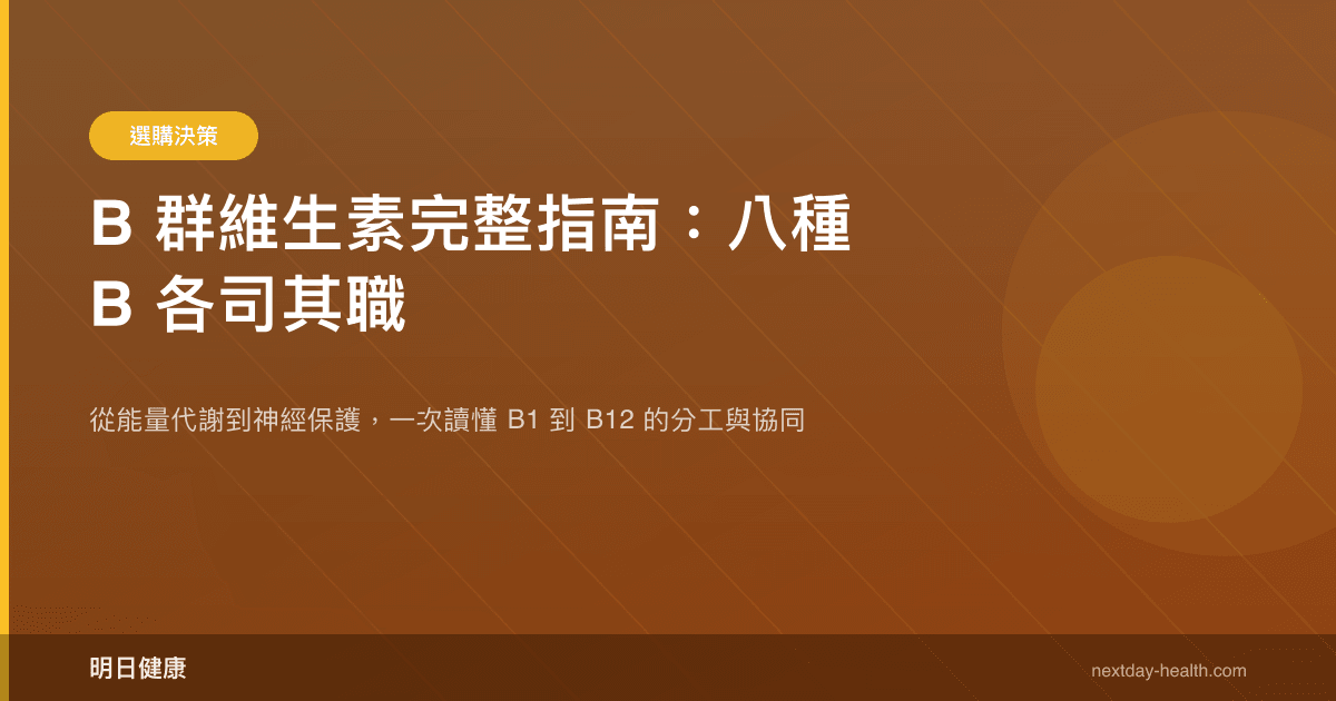 B 群維生素完整指南：八種 B 各司其職