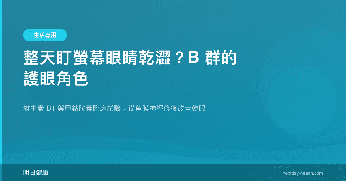 整天盯螢幕眼睛乾澀？B 群的護眼角色