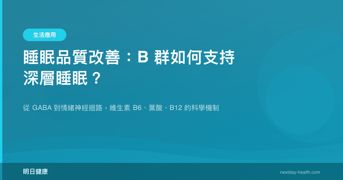 睡眠品質改善：B 群如何支持深層睡眠？