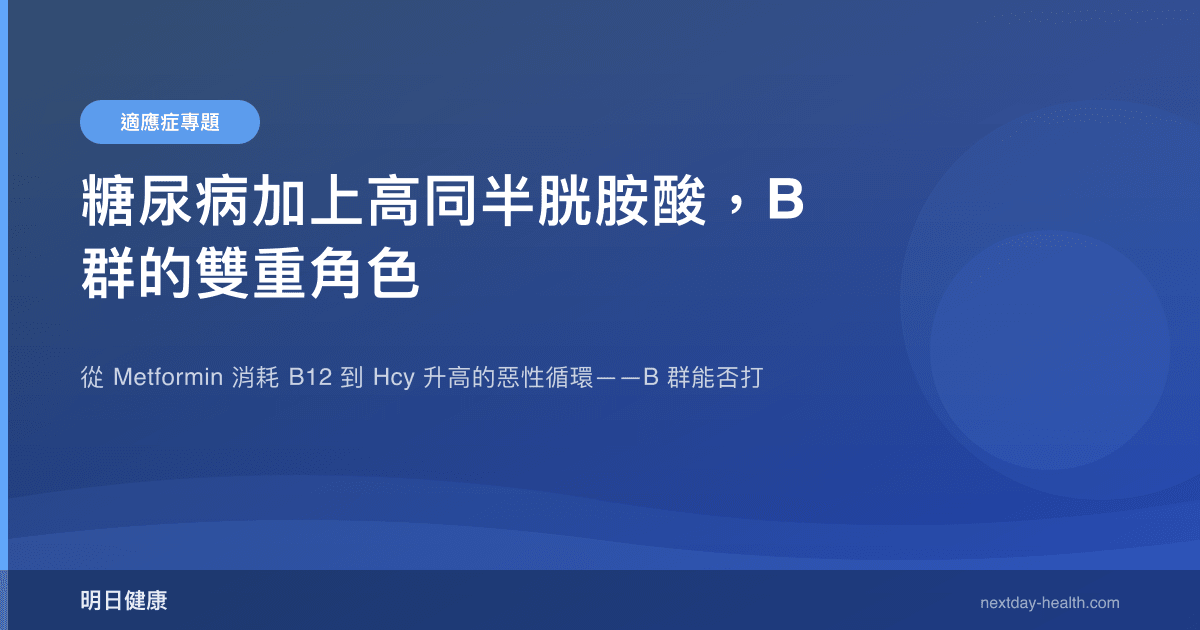 糖尿病加上高同半胱胺酸，B 群的雙重角色