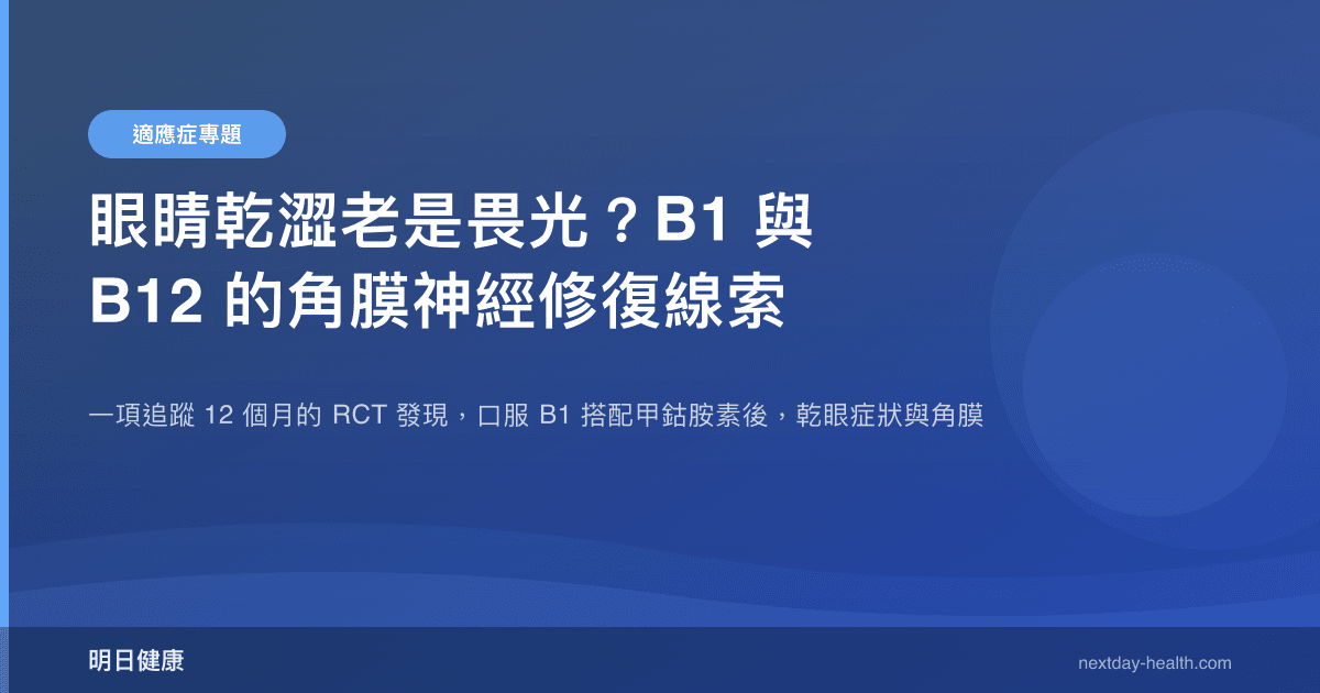 眼睛乾澀老是畏光？B1 與 B12 的角膜神經修復線索