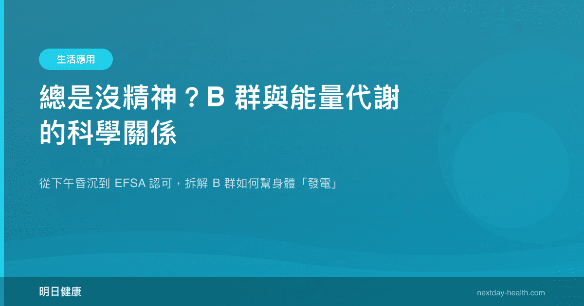 總是沒精神？B 群與能量代謝的科學關係