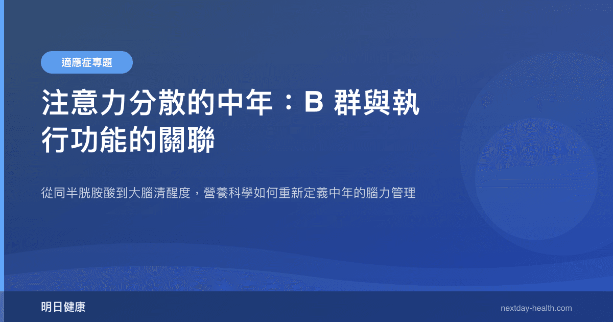 注意力分散的中年：B 群與執行功能的關聯