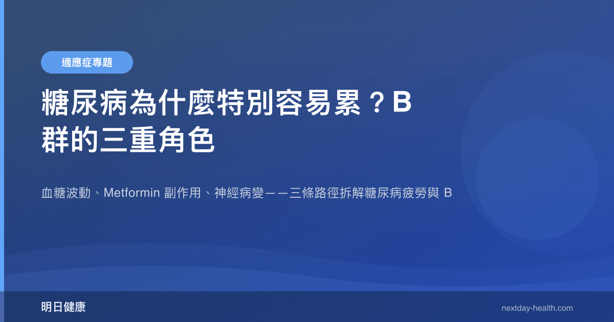 糖尿病為什麼特別容易累？B 群的三重角色