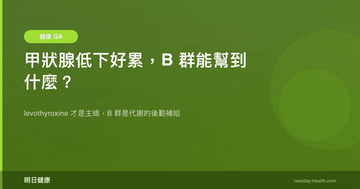 甲狀腺低下好累，B 群能幫到什麼？