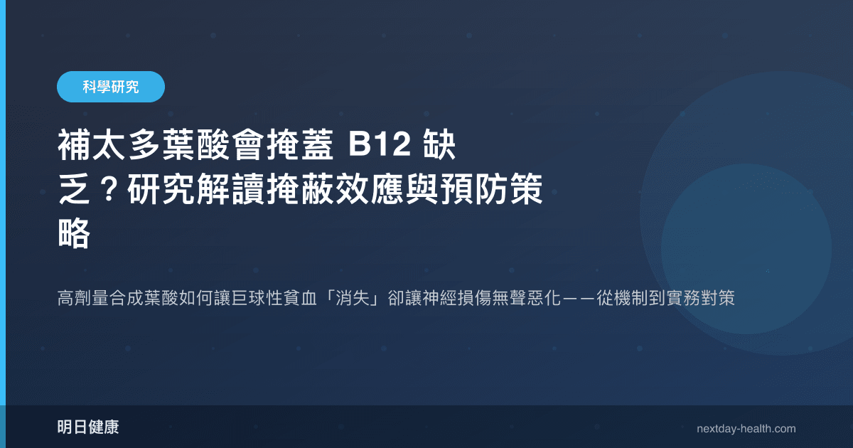 補太多葉酸會掩蓋 B12 缺乏？研究解讀掩蔽效應與預防策略