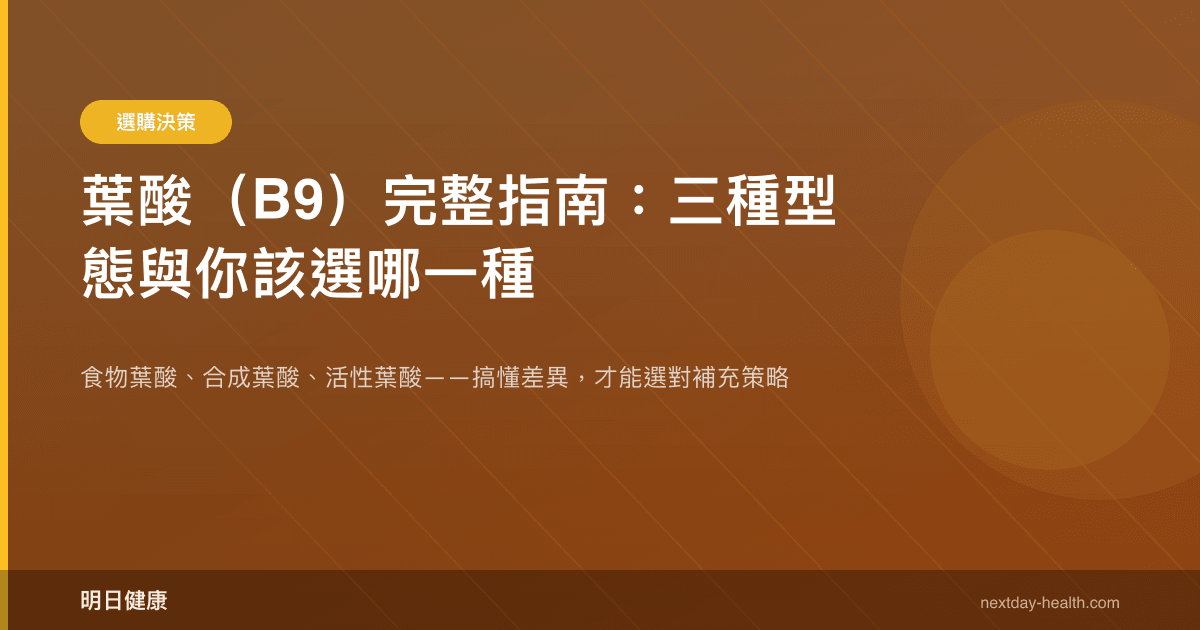 葉酸（B9）完整指南：三種型態與你該選哪一種