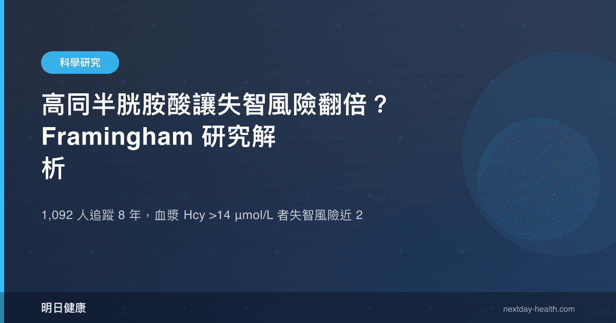 高同半胱胺酸讓失智風險翻倍？Framingham 研究解析