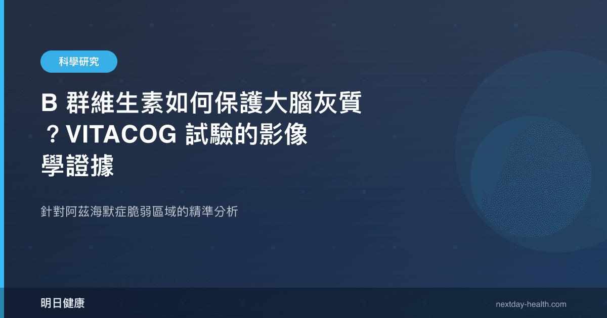 B 群維生素如何保護大腦灰質？VITACOG 試驗的影像學證據