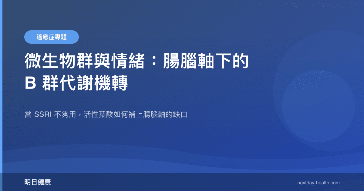 微生物群與情緒：腸腦軸下的 B 群代謝機轉