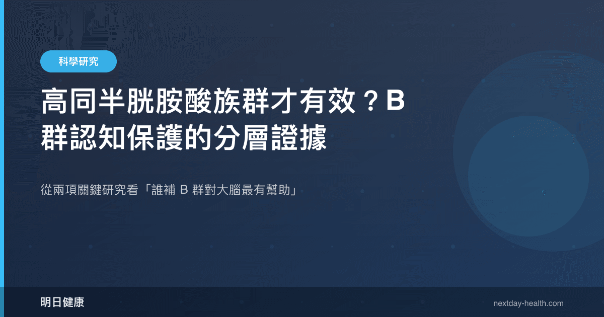 高同半胱胺酸族群才有效？B 群認知保護的分層證據