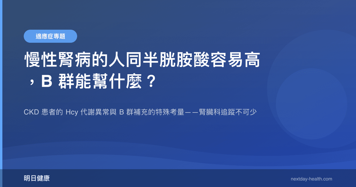 慢性腎病的人同半胱胺酸容易高，B 群能幫什麼？