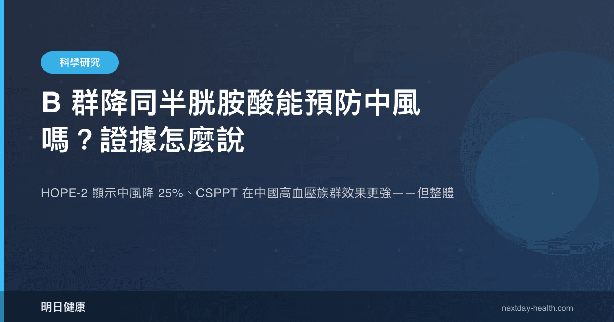 B 群降同半胱胺酸能預防中風嗎？證據怎麼說