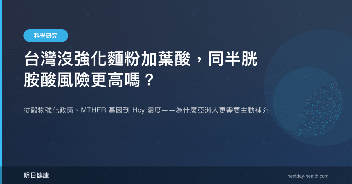 台灣沒強化麵粉加葉酸，同半胱胺酸風險更高嗎？