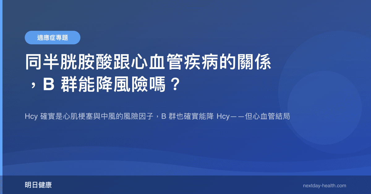 同半胱胺酸跟心血管疾病的關係，B 群能降風險嗎？