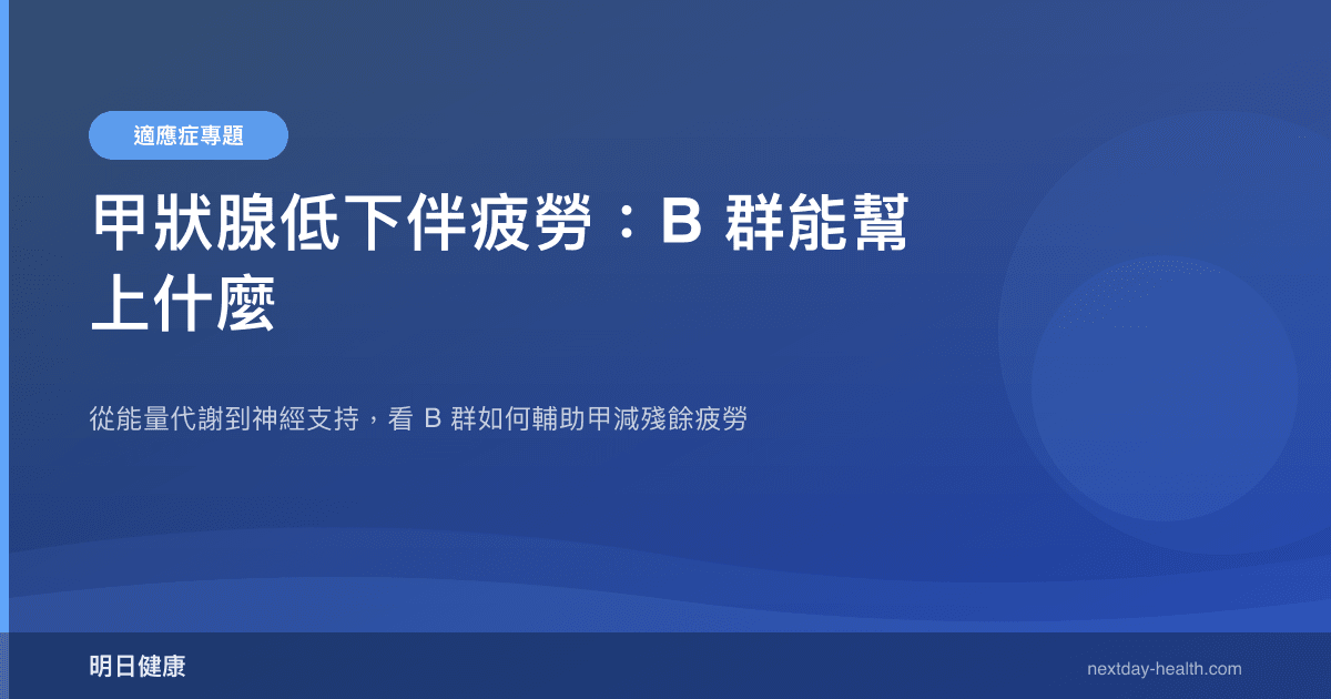 甲狀腺低下伴疲勞：B 群能幫上什麼