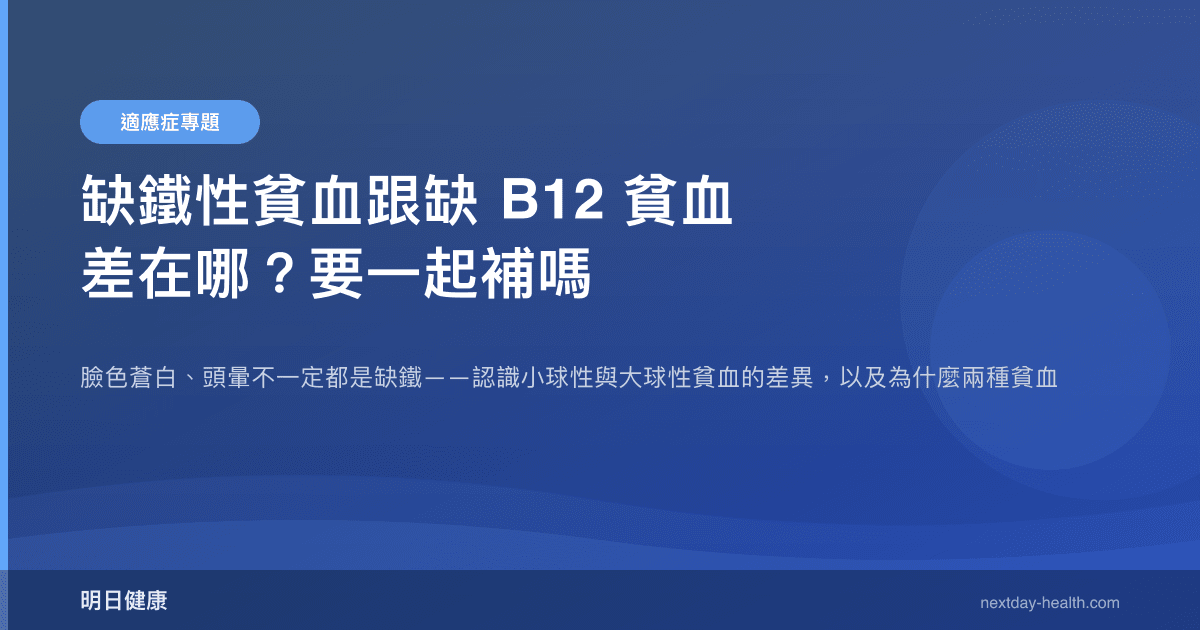 缺鐵性貧血跟缺 B12 貧血差在哪？要一起補嗎