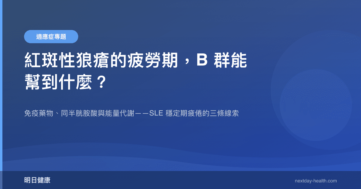 紅斑性狼瘡的疲勞期，B 群能幫到什麼？