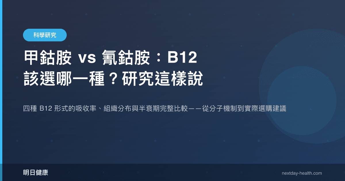 甲鈷胺 vs 氰鈷胺：B12 該選哪一種？研究這樣說