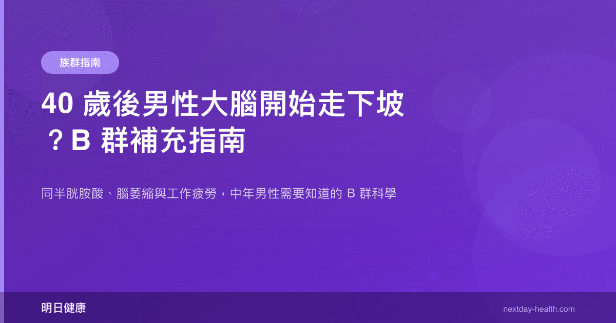 40 歲後男性大腦開始走下坡？B 群補充指南
