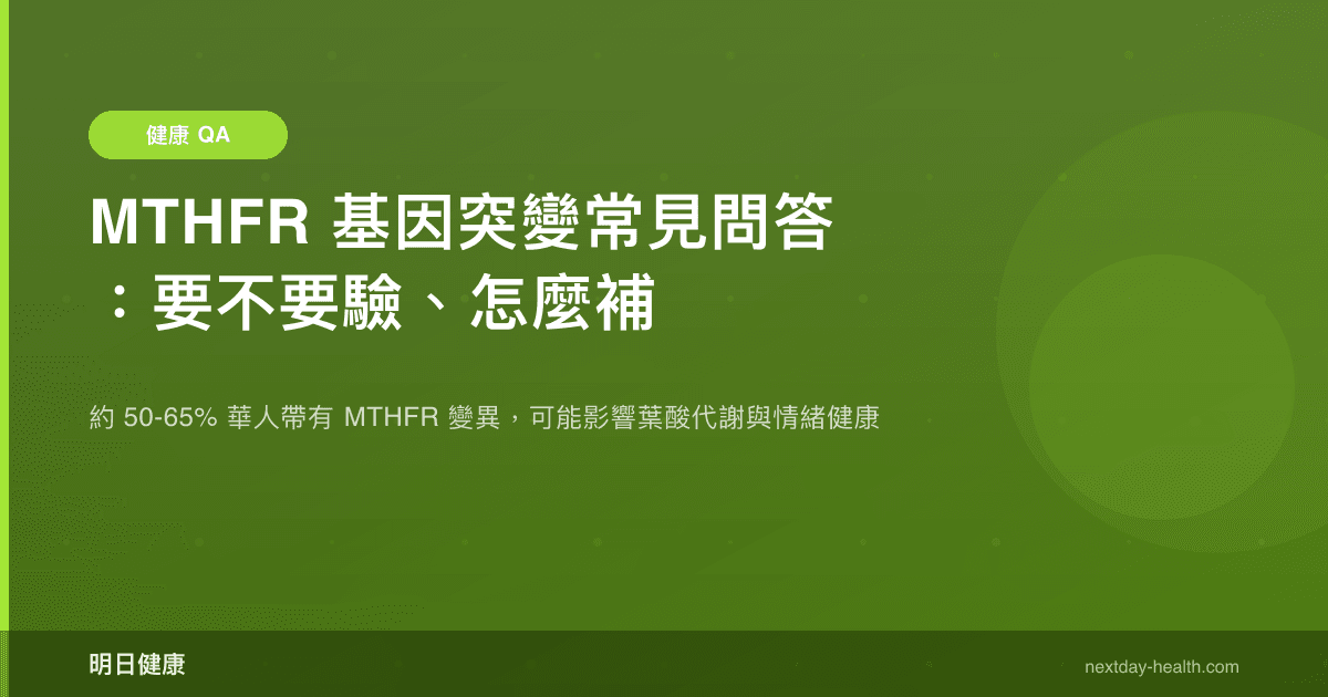 MTHFR 基因突變常見問答：要不要驗、怎麼補