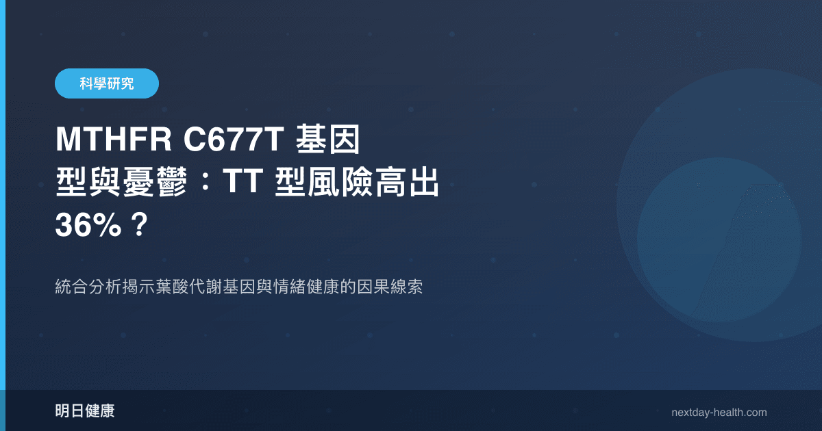 MTHFR C677T 基因型與憂鬱：TT 型風險高出 36%？