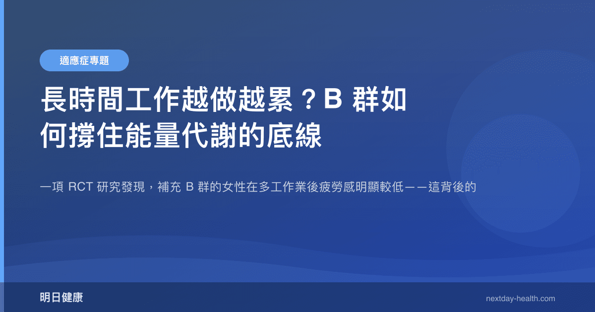 長時間工作越做越累？B 群如何撐住能量代謝的底線