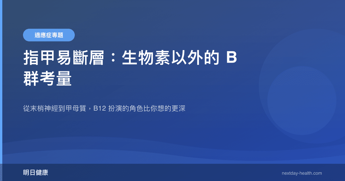 指甲易斷層：生物素以外的 B 群考量