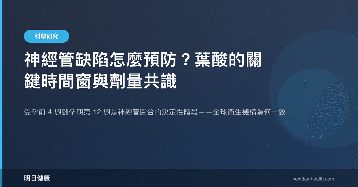 神經管缺陷怎麼預防？葉酸的關鍵時間窗與劑量共識