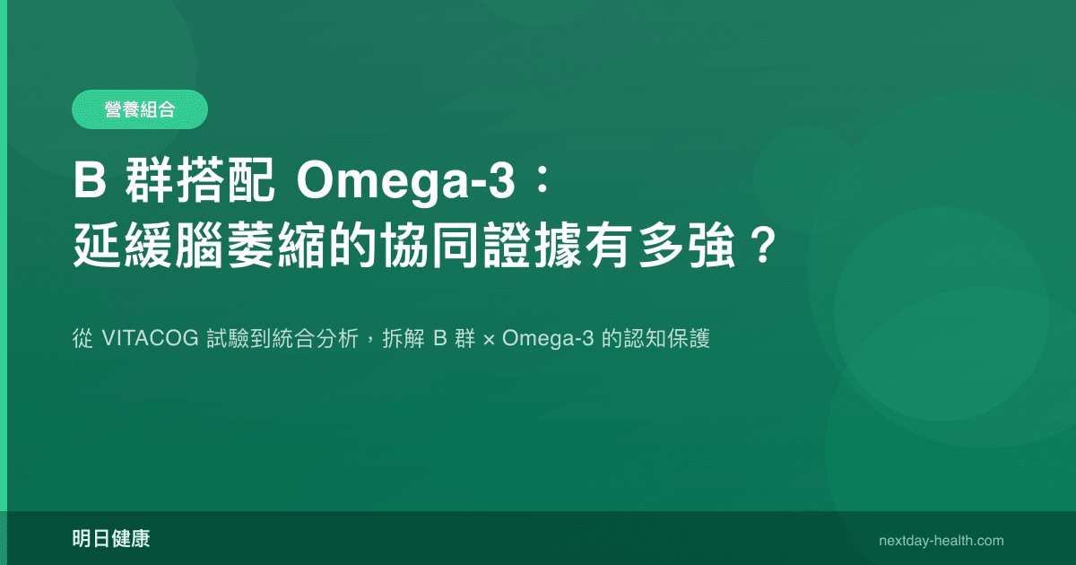 B 群搭配 Omega-3：延緩腦萎縮的協同證據有多強？