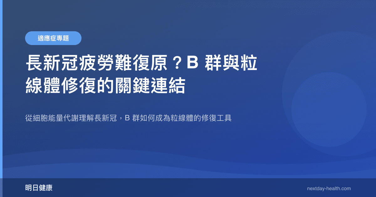 長新冠疲勞難復原？B 群與粒線體修復的關鍵連結